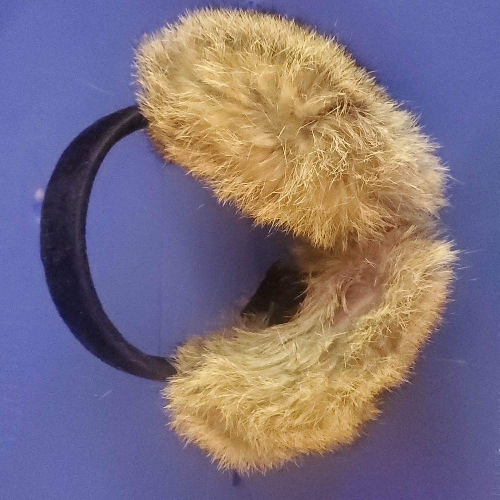 Earmuffs - Picture 2 of 2